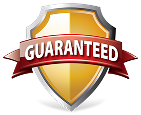 logo jaminan dan garansi pemesanan website na jasaweb