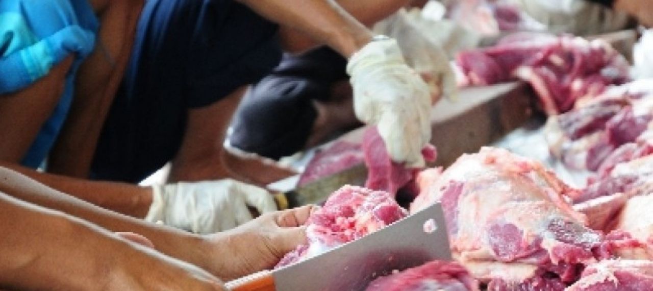 Dokumentasi Pemotongan Kambing Fatimah Aqiqah